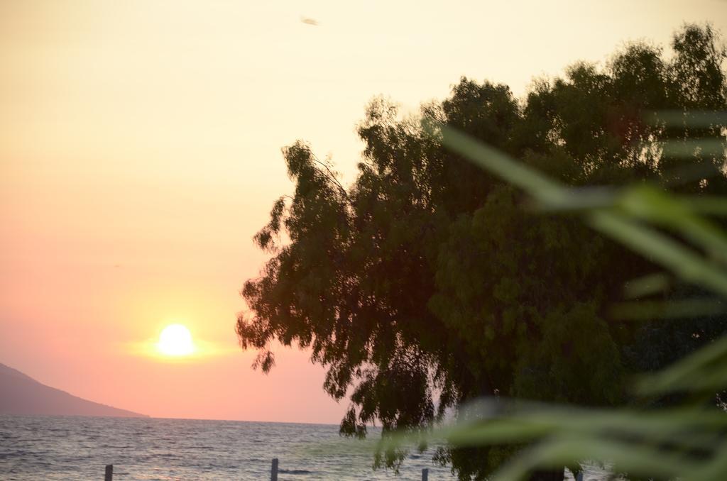 Hotel Garden Vlorë Eksteriør bilde