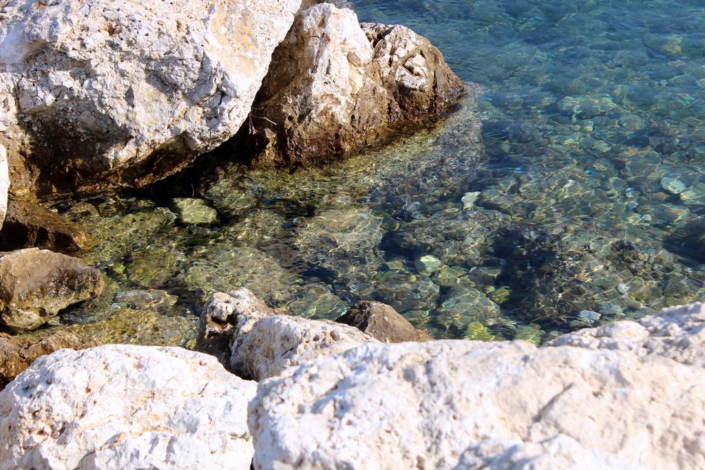 Hotel Garden Vlorë Eksteriør bilde